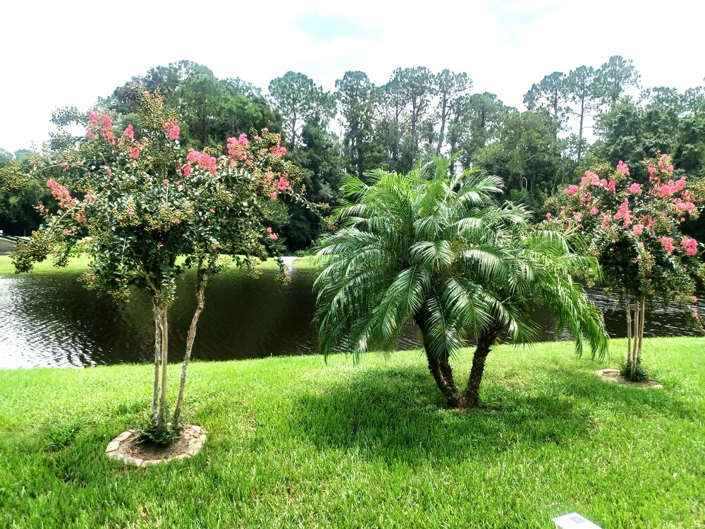 Cypress Lakes Village
