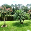 Cypress Lakes Village