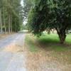Photo of Mobile Home Lot