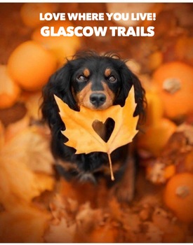 Thumbnail of mobile home lot