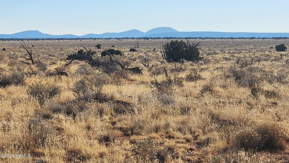 Photo of Mobile Home Lot