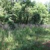 Photo of Mobile Home Lot