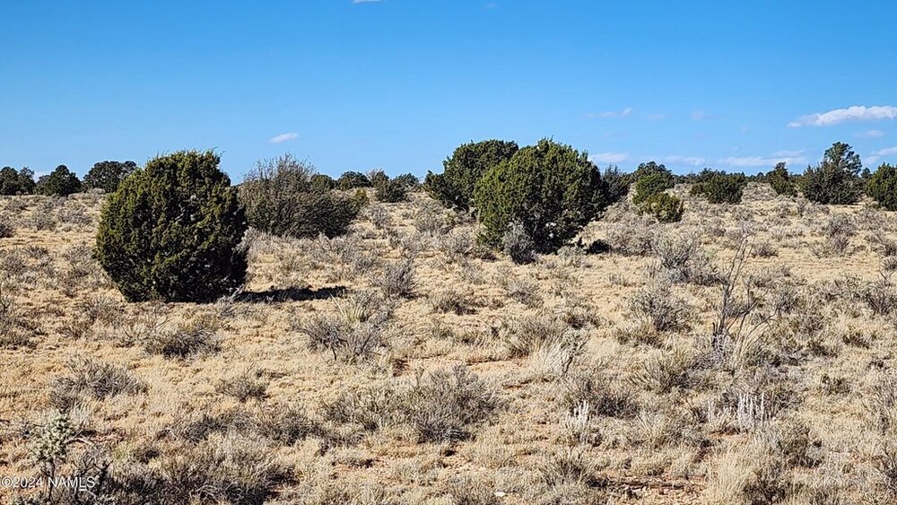 Photo of Mobile Home Lot