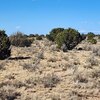 Photo of Mobile Home Lot
