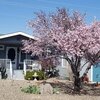 Mobile Home for Sale: Manufactured Home - Prescott, AZ, Prescott, AZ