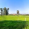 Mobile Home for Sale: Mobile Home
