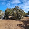 Photo of Mobile Home Lot