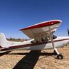 Aircraft for Sale: 1981 Cessna A185F Skywagon II
