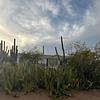 Mobile Home for Sale: 1996 Mobile Home