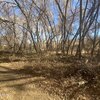 Photo of Mobile Home Lot