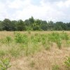 Mobile Home for Sale: Manufactured Home - Lincolnton, GA, Lincolnton, GA