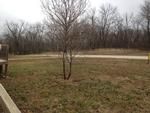Photo of Mobile Home Lot