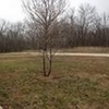 Photo of Mobile Home Lot