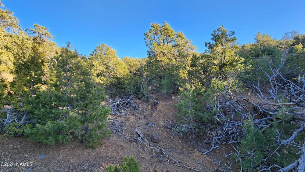 Photo of Mobile Home Lot