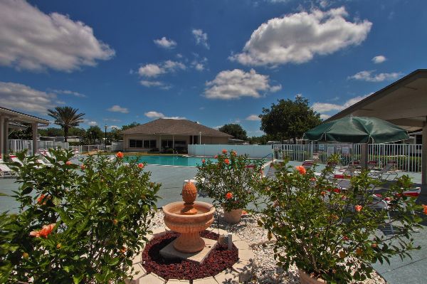 Pool & Gardens