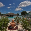 Pool & Gardens