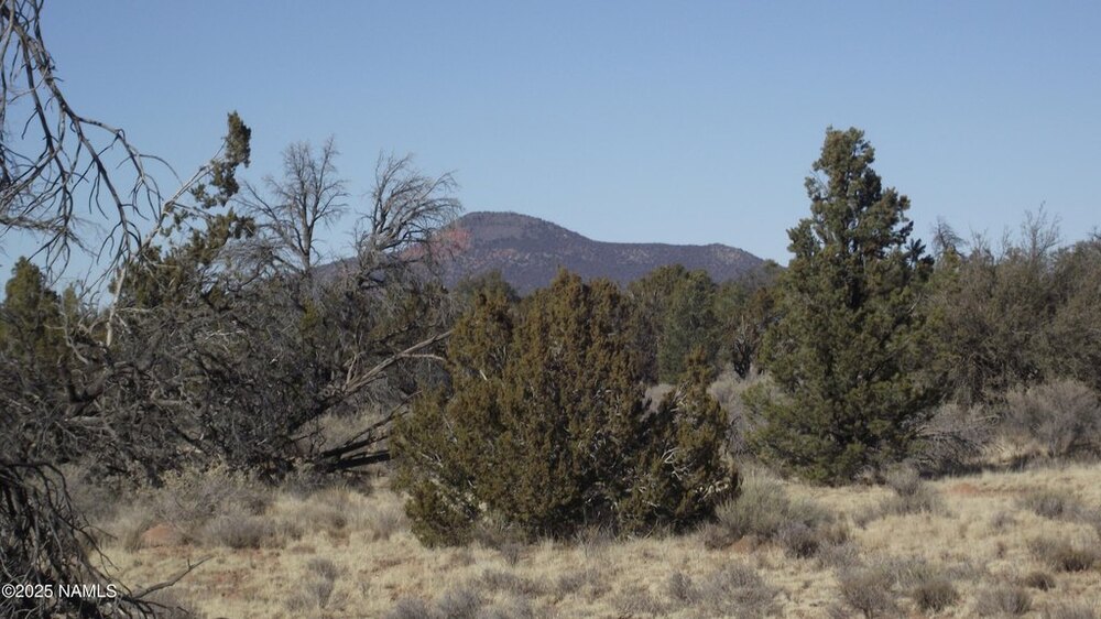 Photo of Mobile Home Lot