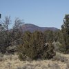 Photo of Mobile Home Lot