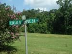 Photo of Mobile Home Lot