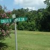 Photo of Mobile Home Lot