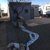RV Lot for Sale: Paulette 204-326-7366 , Florence, AZ