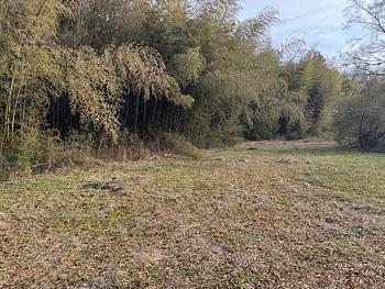 Thumbnail of mobile home lot