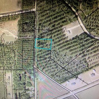 Photo of Mobile Home Lot