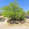 Mobile Home for Sale: 3 Bed 2 Bath 2001 Mobile Home