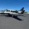 Aircraft for Sale: 1981 PIPER NAVAJO CHIEFTAIN
