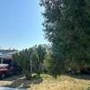Mobile Home for Sale: 3 Bed 2 Bath 1992 Mobile Home