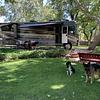 RV for Sale: 2016 BOUNDER 33C