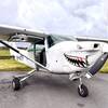Aircraft for Sale: 1979 Cessna 182 SMA Diesel Q