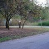 Mobile Home Lot for Sale: OK, RALSTON - Land for sale., Ralston, OK