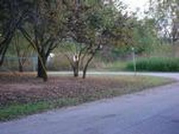 Photo of Mobile Home Lot