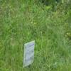 Photo of Mobile Home Lot
