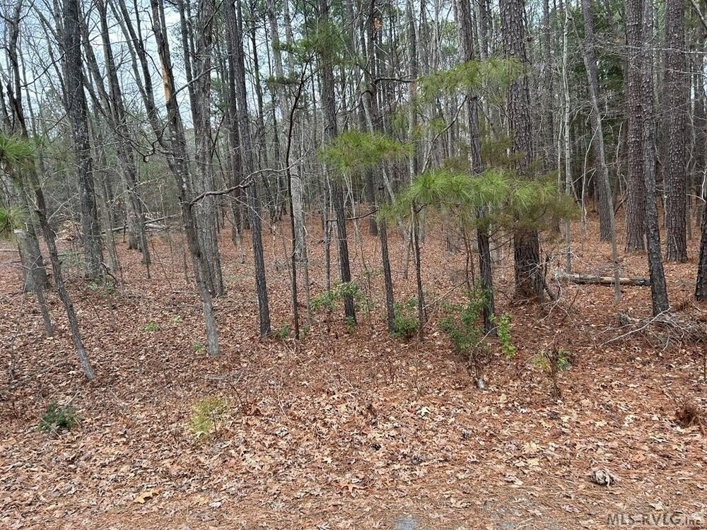 Photo of Mobile Home Lot