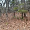 Photo of Mobile Home Lot