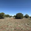 Photo of Mobile Home Lot
