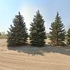 Mobile Home for Sale: 3 Bed 2 Bath 1998 Mobile Home