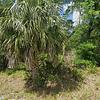 Mobile Home for Sale: 1984 Mobile Home