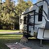 RV for Sale: 2015 WILDCAT MAXX 282RK