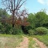 Photo of Mobile Home Lot