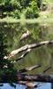 Photo of RV Park/Campground