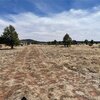 Photo of Mobile Home Lot