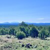 Photo of Mobile Home Lot