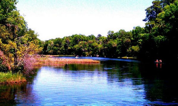 Photo of RV Lot