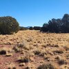 Photo of Mobile Home Lot