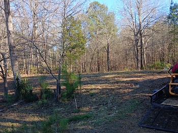 Thumbnail of mobile home lot