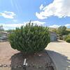 Mobile Home for Sale: 1998 Mobile Home