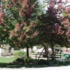 Photo of RV Park/Campground